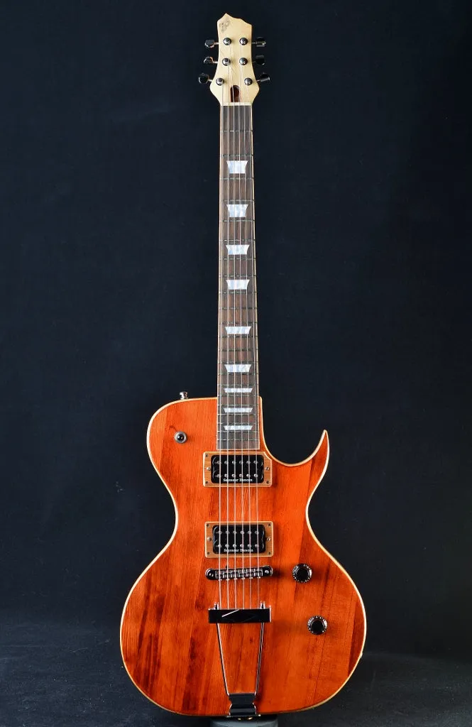 Dineen Raeven Hollowbody - Vintage Amber