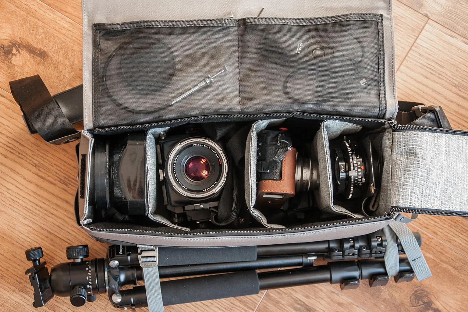 PHOTOGRAPHER MESSENGER - forest